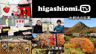 higashiomiTV  246☆「クリスマスの凧展」と「大凧のスタンプ」✨そして「クリスマスリースコンテスト」のお知らせと「太郎坊の紅葉」「永源寺の紅葉」「永源寺ダム付近の紅葉」をリポート！ [upl. by Sula932]