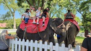 Elephant Ride  Circus World Museum  Baraboo Wisconsin  August 22 2023 [upl. by Raf]