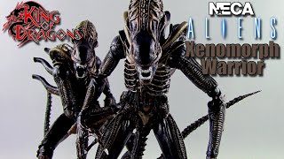 NECA Aliens Ultimate Xenomorph Warrior Brown Review [upl. by Alletnahs]