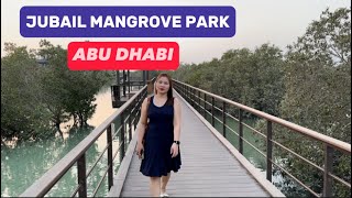 JUBAIL MANGROVE PARK ABU DHABI UAE 🇦🇪 [upl. by Hildegaard360]