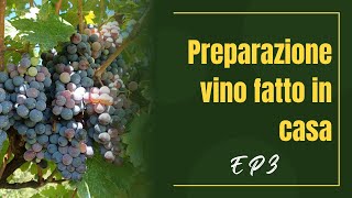 Come fare il VINO dalla Vendemmia alla Cantina EP3 [upl. by Benildas528]