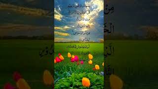 Suarh Al nass🤲🤲🤲💖beautfulquran trendingshorts love 🥀⚘️🔥 [upl. by Aynek]