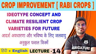 Ideotype concept and climate resilient crop varieties for future  crop improvement rabi crops [upl. by Esereht503]