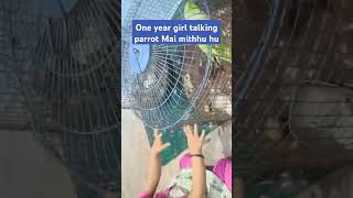 One year girl talking parrot Mai mithhu hu👉🥰😎 sortfeed porrot talkingparot girls funny mithhu🦜 [upl. by Nothsa147]