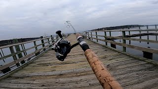 Winter HERRING FISHING the Oyster Bay Fishing Pier Long Island NY [upl. by Jaquelyn]