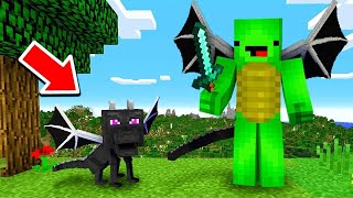 Minecraft Als BABY ENDERDRACHE Spielen [upl. by Atteval343]