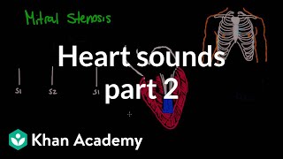 Systolic murmurs diastolic murmurs and extra heart sounds  Part 2  NCLEXRN  Khan Academy [upl. by Nevarc]