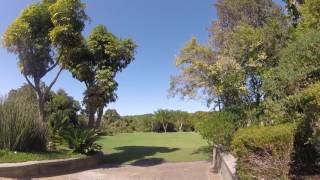 Kirstenbosch Botanical Gardens 6 [upl. by Howland174]