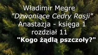 ANASTAZJA 1 rozdział 11 quotKogo żądlą pszczołyquot [upl. by Janot413]