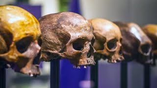 Finding relatives in hominin skulls  ScienceU [upl. by Windsor237]