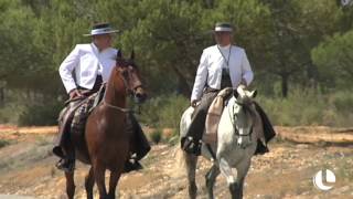 POR LOS TERRENOS DEL CABALLO [upl. by Rider]