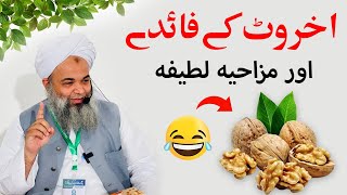 Funny Relation of Akhrot aur Chilgoza  Shaykh Hafiz Ibrahim Naqshbandi  Akhrot ke fayde [upl. by Atnwahsal]