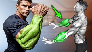 How to Get Veiny Arms 5 Forearms Workout [upl. by Ranip]