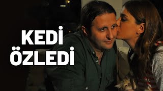 Kedi Özledi  Tek Parça Film Yerli Komedi [upl. by Azrim18]