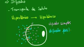 Membrana Plasmática  Transporte de Substâncias [upl. by Avla]