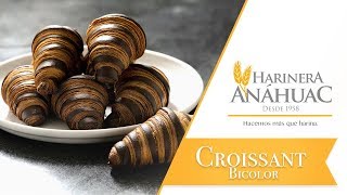 Harinera Anáhuac  Receta Croissant [upl. by Mirth829]