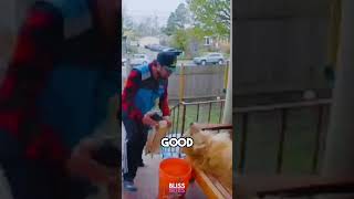 Delivery guy cant resist the dogs cuteness 😍shorts [upl. by Nevur]