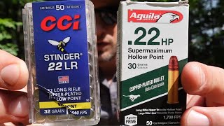 Hypervelocity Hoedown Aguila Supermaximum Hollow Point vs CCI Stingers [upl. by Glynis450]