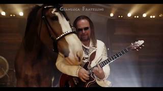 quotBudweiserquot Super Bowl Commercial with 3D Horses  We will rock you  Queen [upl. by Heindrick333]