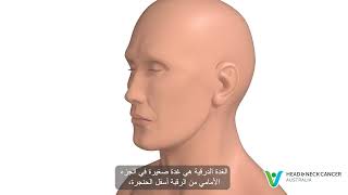 Arabic  What is Thyroid Cancer Signs amp Symptoms Head and Neck Cancer [upl. by Cavallaro]