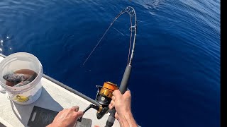 JIGGING FLY FISHING AND WAHOO TROLLING  BERMUDA FISHING [upl. by Latimer]