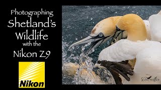 Photographing Shetlands Wildlife Pt1 [upl. by Einram699]