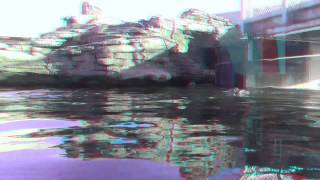 Pinguine HD 3D Anaglyph [upl. by Affrica]