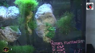 AquaVideoMag 48 Roche flottantes pour votre aquarium [upl. by Buskirk]