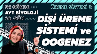 32 Dişi Üreme Sistemi ve Oogenez  Üreme Sistemi  11 Sınıf Biyoloji  2024 AYT Biyoloji 32 Gün [upl. by Amyaj]