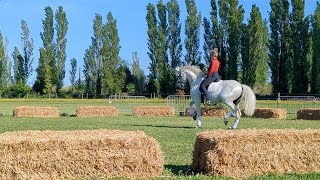 Jenny et Abanico en démonstration de Dressage Artistique pour lASEM [upl. by Ridglea]