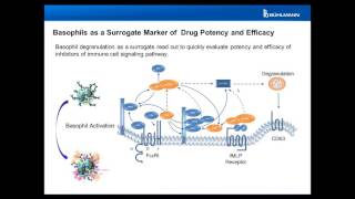 Basophils as Biomarker for Potency and Efficacy of Drugs in Development Flow CAST® [upl. by Oiratnom]