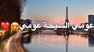 FAYCAL MIGNON 2024  3OUMI CHIKHA  عومي شيخة عومي  slowedreverb [upl. by Eleanor685]