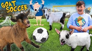 FUNnel Goats play Soccer FV FAMILY Farm Song Vlog [upl. by Vokaay553]