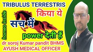 Tribulus Terrestris Q। Homeopathic Medicine। Benefits In Hindi । Gokhru Ke Fayde homeoinside [upl. by Ten]