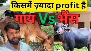 किशमें ज़्यादा profit है गाय या भैस  Who is more profitable cow or buffalo [upl. by Darill609]