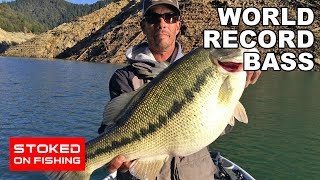 World Record Bass  Part 1 [upl. by Enyamert535]