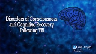 Disorder of Consciousness amp Cognitive Recovery Following TBI Levels 110 with Dr Alan Weintraub [upl. by Carolus]