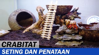 Cara Membuat Crabitat Sederhana untuk Kelomang Coenobita perlatus  DIY  Crabpedia [upl. by Ynafetse]