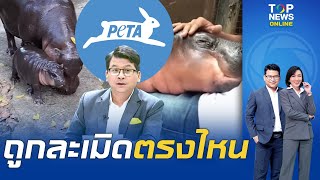 quotสันติสุขquot เปิดภาพ quotหมูเด้งquot สุดแฮปปี้ ถามกลับ PETA ถูกละเมิดสิทธิสัตว์ตรงไหน [upl. by Wainwright197]