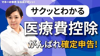 ５分で解決 医療費控除！ 仕組みから明細書の記入方法まで マネーの世界・なるほどポンッ！【日経まねび】 [upl. by Harned]