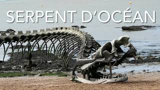 Serpent D’Océan Sculpture 4K [upl. by Tinya]