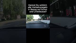 Welche Verkehrsregeln gibt es in Bezug auf Schul und Linienbusse [upl. by Lyj531]