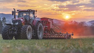 Přísev TTP  Case IH Optum 300 CVX  Vaderstad Rapid A600S  Zemědělské služby Josef Rajchart [upl. by Philipines]