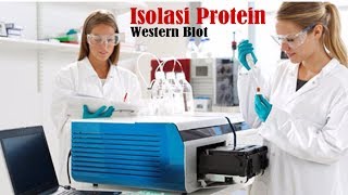 ANIMASI ISOLASI PROTEIN WESTERN BLOT [upl. by Yrnehnhoj507]