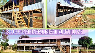 3000 chicken structurecoop construction for both layers and broilers [upl. by Kiernan433]