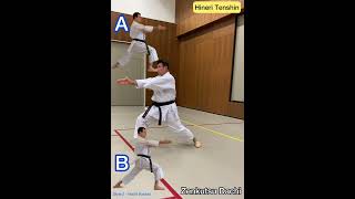 Heian Sandan SKO Karate WR Shotokan [upl. by Ipoillak225]