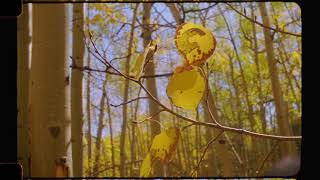 The Fall Color  Bolex Super16 Sample Footage  Lasergraphics 65K [upl. by Lak690]