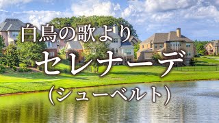 セレナーデStändchen シューベルト歌曲集「白鳥の歌」よりSchwanengesang D957 第4曲 リラックス クラシカル オルガン 癒し 睡眠 BGM [upl. by Donaugh776]