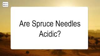 Are Spruce Needles Acidic [upl. by Nylear]