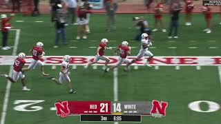 Dante Dowdell 49yard TD run  2024 spring game [upl. by Xuerd]